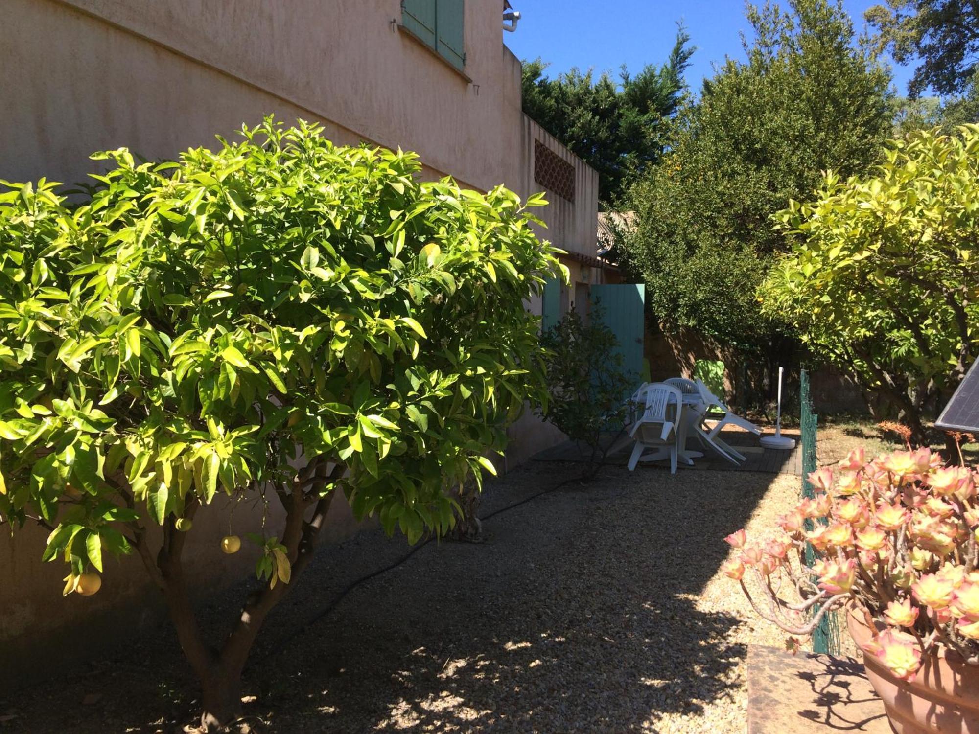 Les Oliviers Apartman Grimaud Szoba fotó