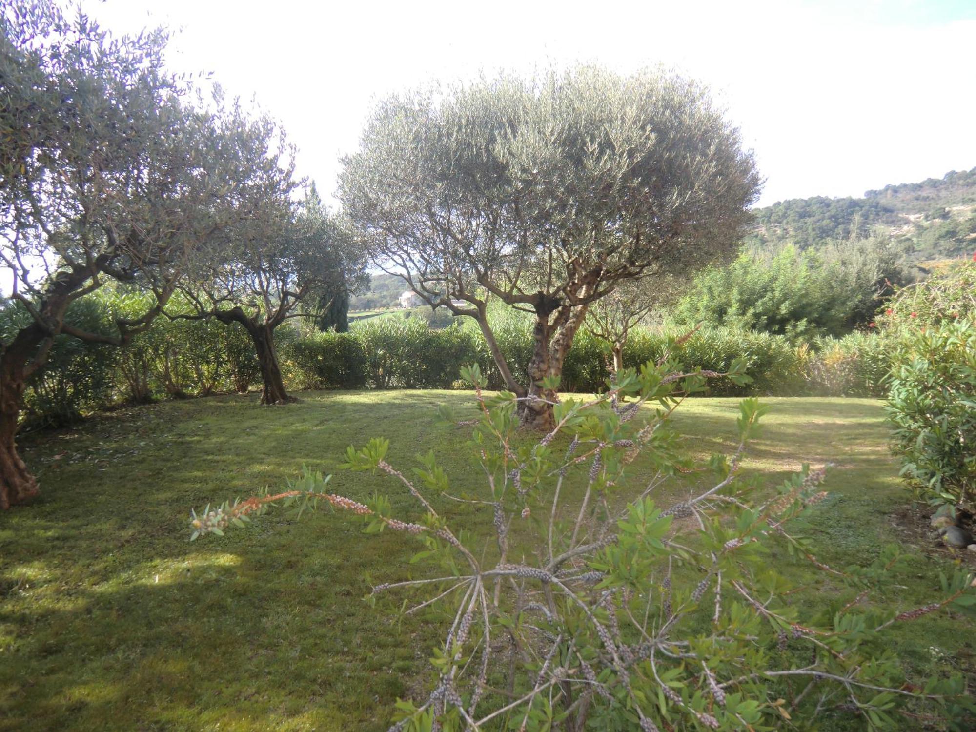 Les Oliviers Apartman Grimaud Szoba fotó