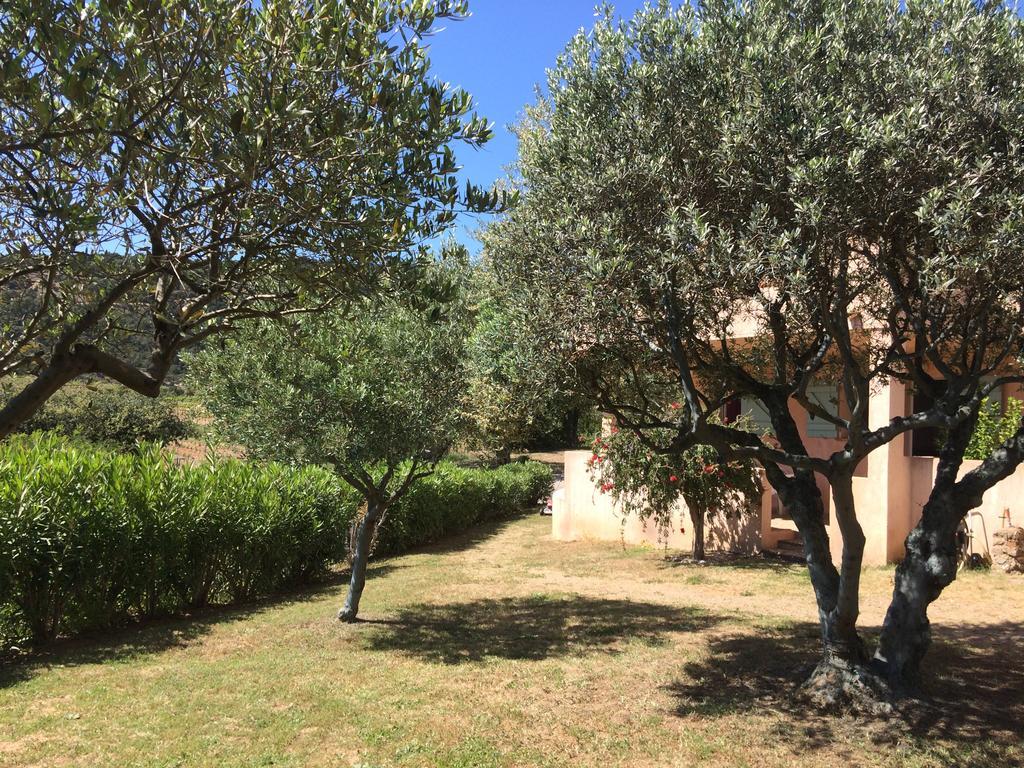 Les Oliviers Apartman Grimaud Kültér fotó